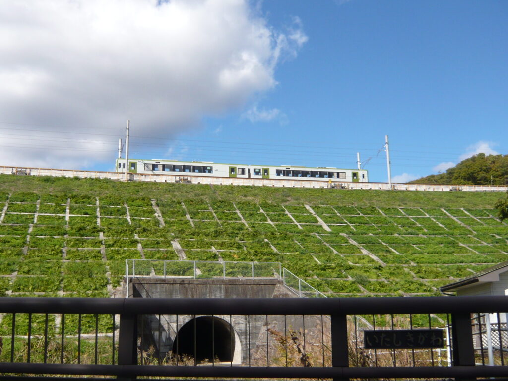 toyoharaeki